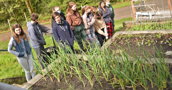 Woodward Middle School seventh-graders survey recent growth in the garden they refurbished last fall as part of the cooking skills class taught by Meloni Courtway.