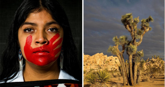 6th District Congressional Art winners. Angelina Kollodge won first place with her photo ‘Fierce Silence,’ and Maddy Coodro won third place with her photo ‘Desert Beauty.’ Courtesy photo