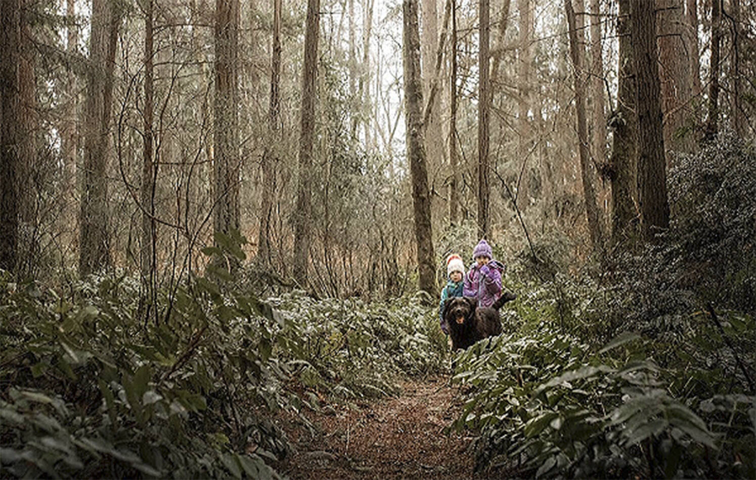 The Ted Olson Nature Preserve is just one location the foundation is working on trails. Courtesy Photo