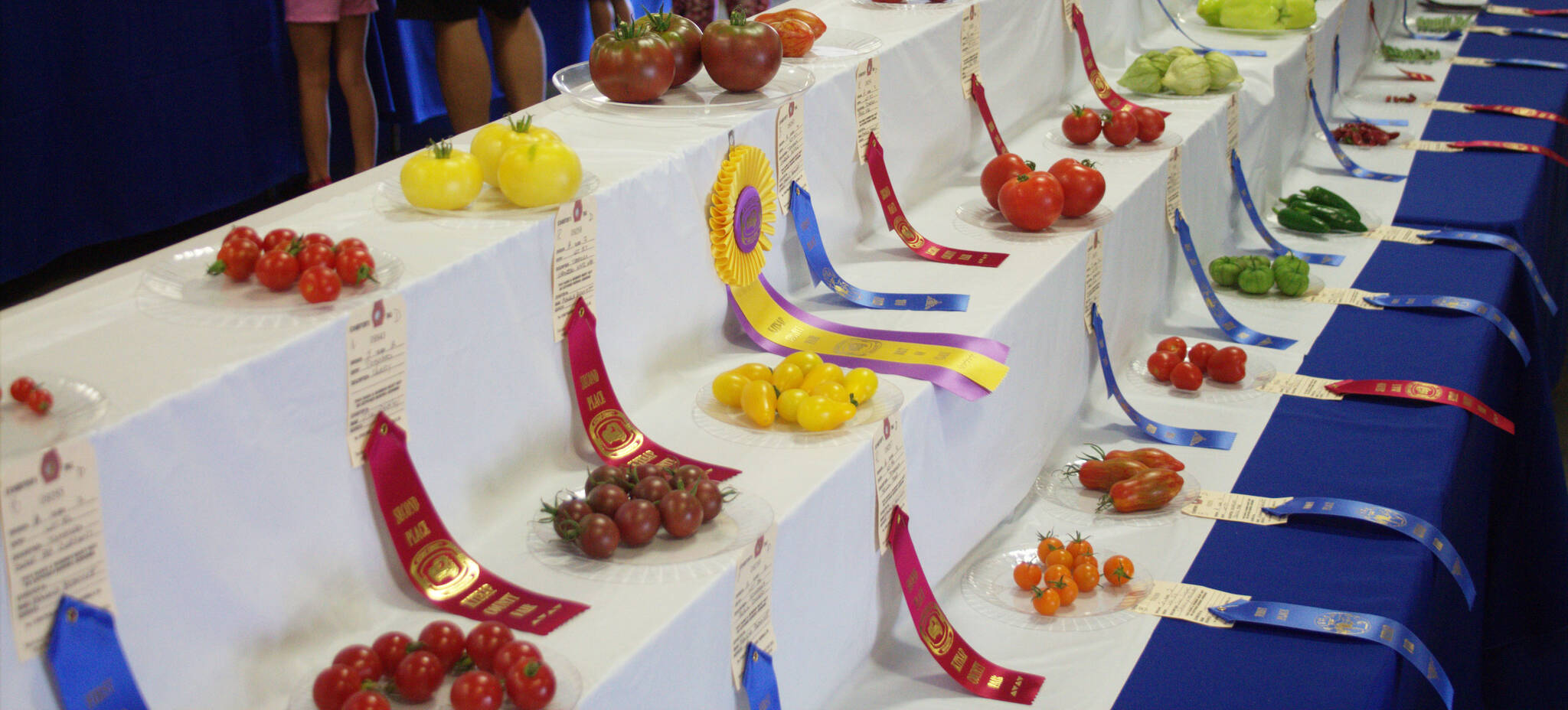 Prize-winning garden foods from around the county on display with other 4-H exhibits.