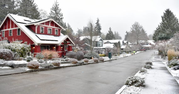 North Town Woods. Nancy Treder/Kitsap News Group Photos