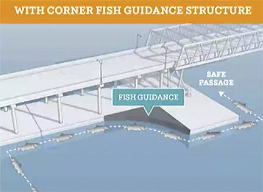 This shows how the structure guides fish to safe passage. Long Live the Kings courtesy images