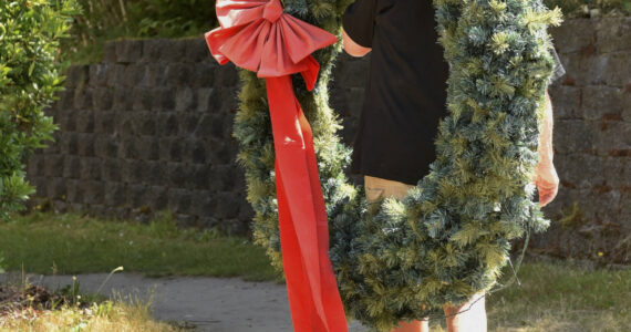 A giant Christmas wreath is carried away by a volunteer who will give it to the Sons of Norway in Poulsbo, which will display it during the holidays. Nancy Treder/Kitsap News Group Photos