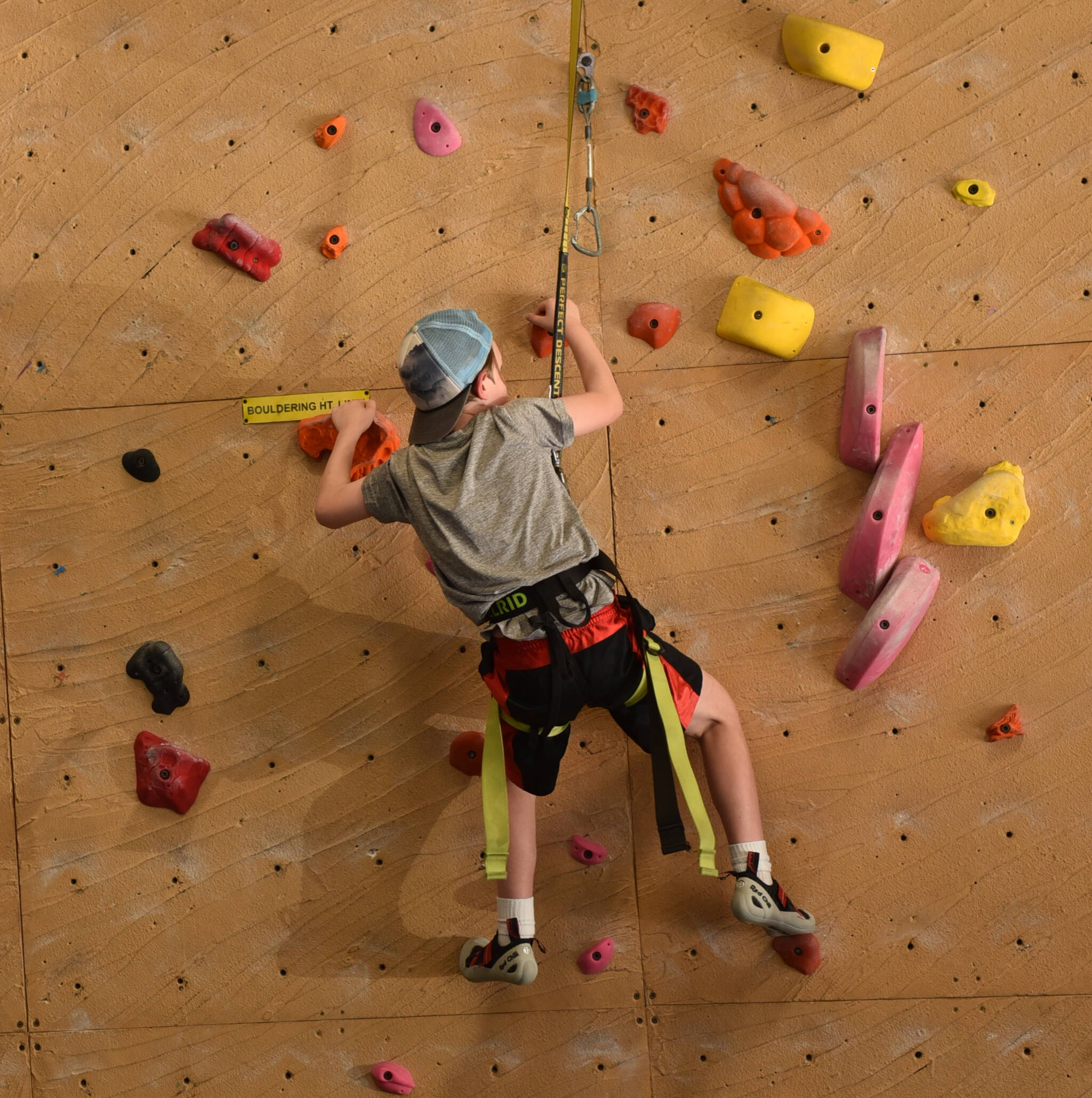 A summer camp student scales a wall assisted with an auto belay device, which connects to the top of the wall and safely lowers the climber to the ground if they slip while climbing.