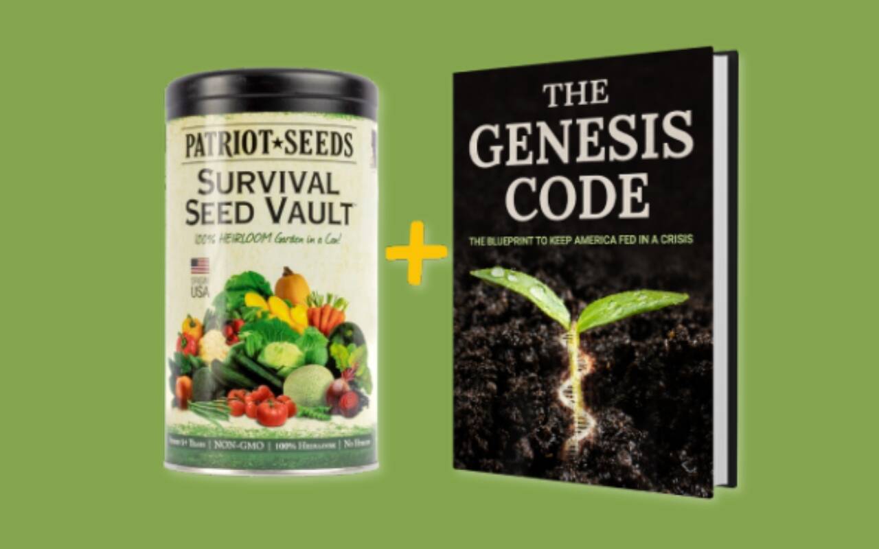 The Genesis Code + Survival Seed Vault: Learn Facts About Teddy Daniels ...