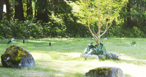 Steve Powell/Kitsap News Group photos
Hillcrest Cemetery has been withdrawn as a site for a crematorium.