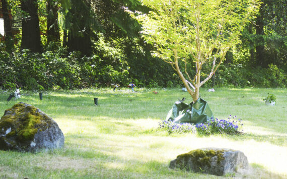 Steve Powell/Kitsap News Group
Hillcrest Cemetery has been withdrawn as a site for a crematorium.