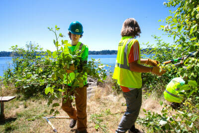 BIMPD courtesy photo
Bainbridge parks provides important first jobs for many in Neurodiverse Student Conservation Corps.
BIMPD courtesy photo
Bainbridge parks provides important first jobs for many in Neurodiverse Student Conservation Corps.