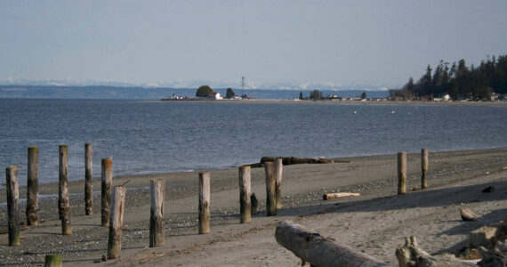 File photo
Shellfish harvesting is closed from Foulweather Bluff to Point Jefferson in North Kitsap due to high levels of marine biotoxin paralytic shellfish poison in the water.