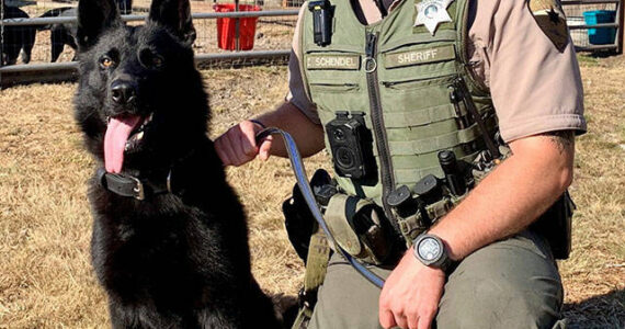 KCSO courtesy photos
K-9 Milo with deputy Zach Schendel.