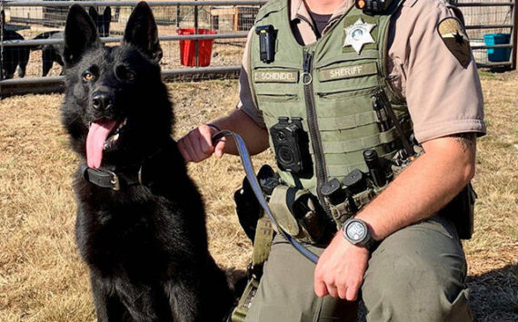 KCSO courtesy photos
K-9 Milo with deputy Zach Schendel.