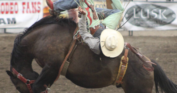 Elisha Meyer/Kitsap News Group photos
Clayton Moss somehow finds a way to stay on his horse on the first night of the rodeo.