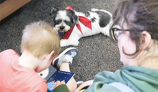 Reading to dogs is popular at a few of the libraries.