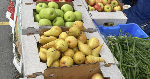 File photo
Eligible older adults for the Senior Farmers Market Nutrition Program will receive an $80 gift card to purchase fresh fruits and vegetables at several local farmers markets.