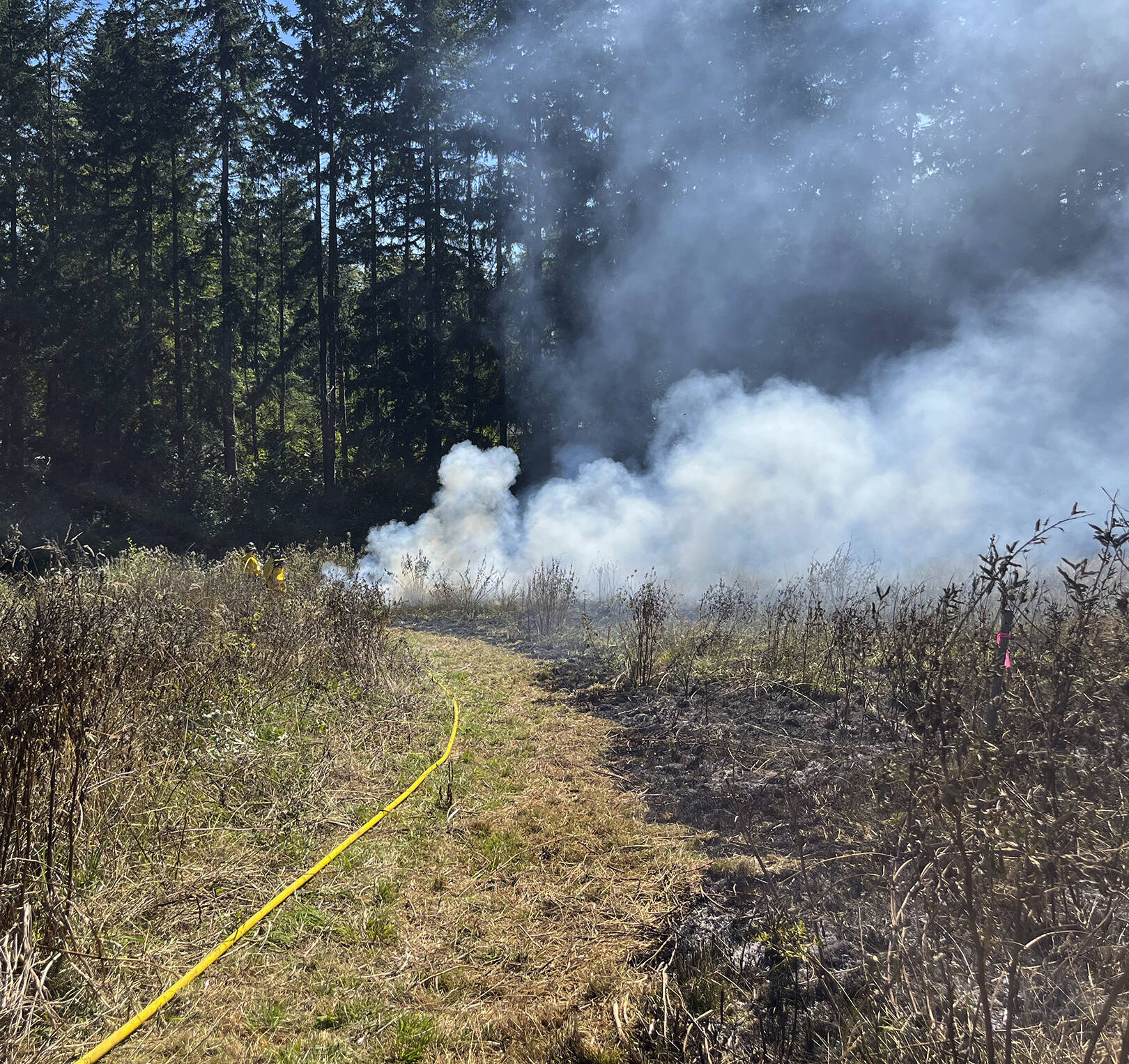 A side-by-side shot of a burned meadow patch and an untreated meadow patch.