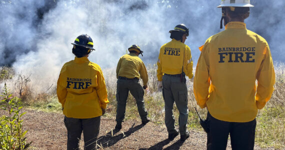 Molly Hetherwick/Kitsap News Group photos
Bainbridge Fire Department personnel monitor a flame.