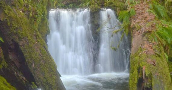 Greater Peninsula Conservancy courtesy photo
The first waterfall that graces Dickerson Creek.