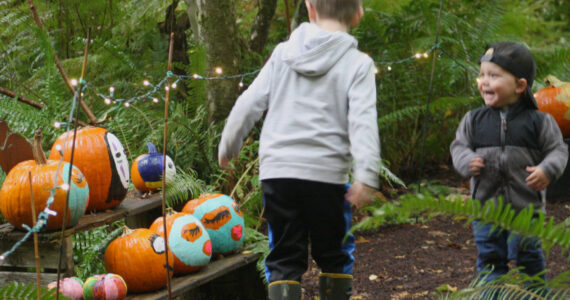 Molly Hetherwick/Kitsap News Group photos
Local plant nursery Bainbridge Gardens invites the community to decorate its adjacent nature trail with pumpkins this Halloween. A few beloved film, TV and comic book characters also decided to make an appearance. Here, two young residents recognize a few favorite characters from Studio Ghibli film Spirited Away.