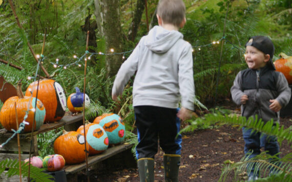 Molly Hetherwick/Kitsap News Group photos
Local plant nursery Bainbridge Gardens invites the community to decorate its adjacent nature trail with pumpkins this Halloween. A few beloved film, TV and comic book characters also decided to make an appearance. Here, two young residents recognize a few favorite characters from Studio Ghibli film Spirited Away.