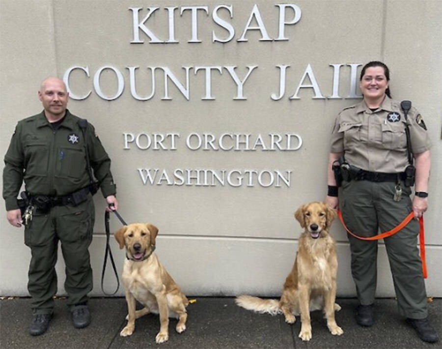 Mike De Felice/Kitsap News Group
Corrections officer Paul Haney and his dog George and officer Merile Montgomery and her dog Andy keep Kitsap County Jail inmates safe by checking them for drugs.