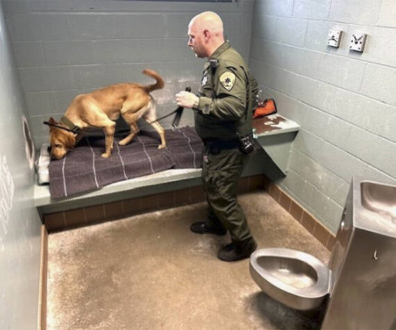 <p>Mike De Felice/Kitsap News Group</p>
                                <p>Corrections officer Paul Haney and yellow lab George search for drugs in a cell in the Kitsap County Jail in Port Orchard.</p>