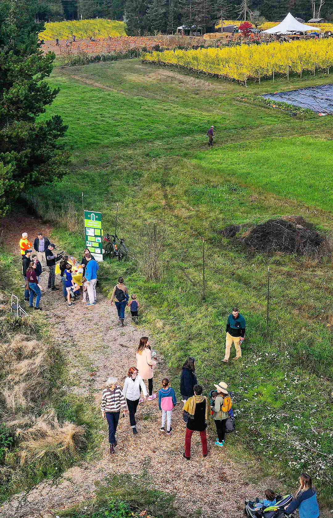 A shot from a drone from above shows the beautiful setting of the trail.