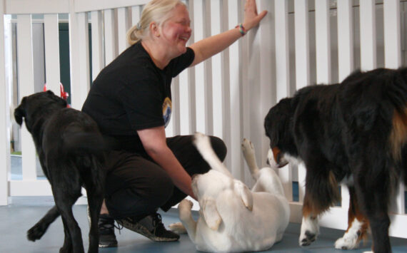 Andrea Bernadt playing with Reina, Luna and Adele.