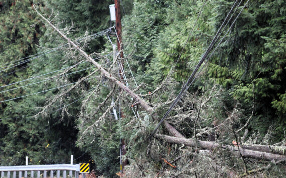 Elisha Meyer/Kitsap News Group photos
Fallen trees and a snapped electrical pole along this stretch of Silverdale Way NW caused power to go out for approximately 1,300 Kitsap County residents.