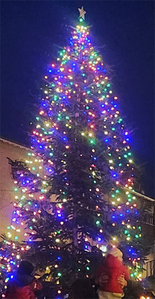 The Christmas tree by the Poulsbo waterfront was officially lit Nov. 29.