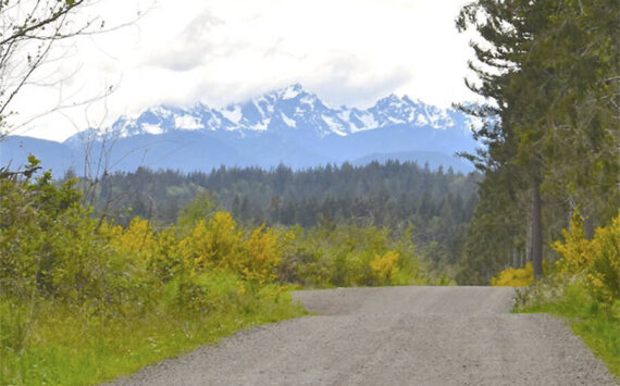 GPC courtesy photo
A look at the Olympic mountains from an area of the newly purchased property by the Great Peninsula Conservancy.